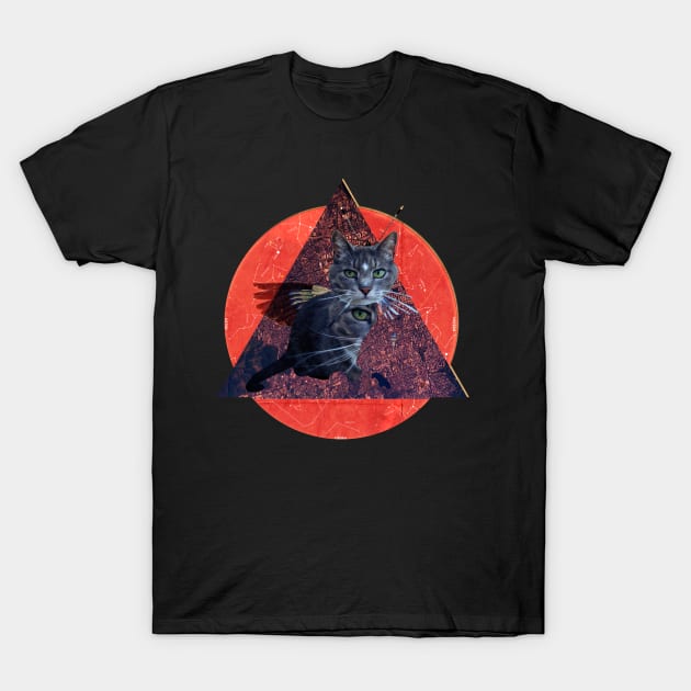 Butterfly Cat T-Shirt by Marko